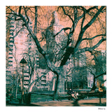 Switch Azure Color Negative Film, 35mm